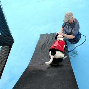 Catawba Valley Obedience Club, Hickory NC